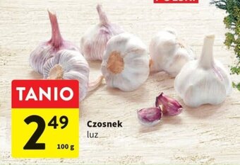 Intermarche Czosnek luz 100g oferta
