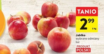 Intermarche Jabłko 1kg oferta