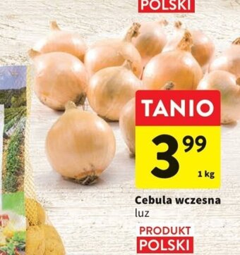 Intermarche Cebula wczesna 1kg oferta