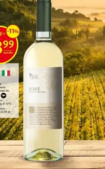 Delikatesy Centrum Wino oferta