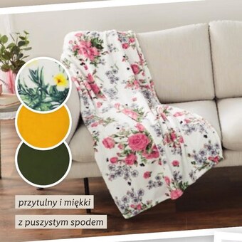 Lidl Koc livarno oferta
