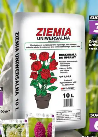 Polomarket Ziemia do kwiatów oferta