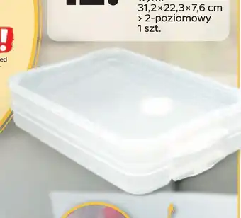 Netto Pojemniki na żywność oferta