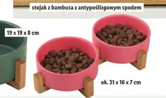 Lidl Miska dla psa zoofari oferta