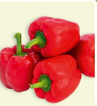 Carrefour Express Papryka oferta