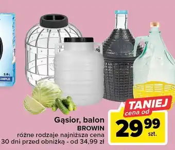 Balon do wina w koszu plastikowym 10 l