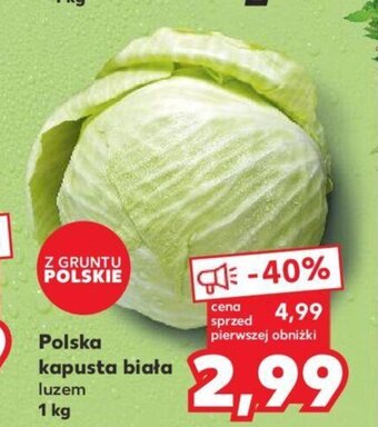 Kaufland Polska kapusta biała 1 kg oferta