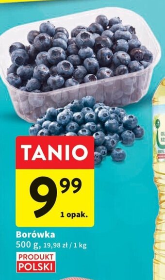 Intermarche Borówka 500 g oferta