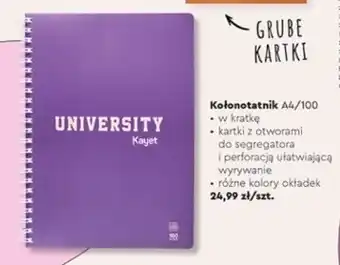 Biedronka Kołonotatnik a4/100k. oferta