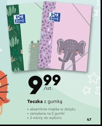Biedronka Teczka z gumką a4 oferta
