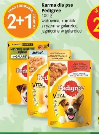 Delikatesy Centrum Karma dla psa Pedigree 100 g oferta