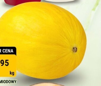 bi1 Melon oferta