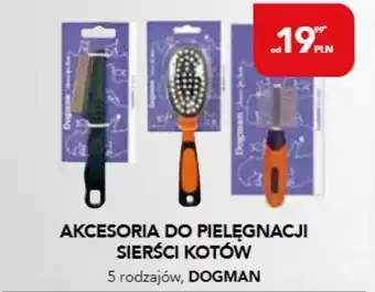 AquaelZOO Zestaw dla kota dogman oferta