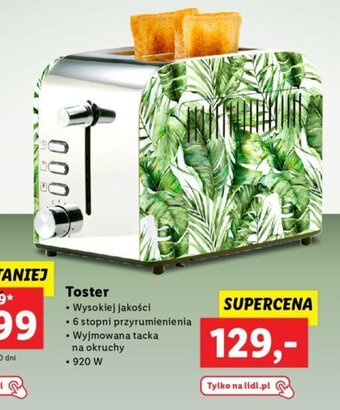 Lidl Toster oferta