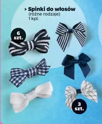 Netto > Spinki do włosów (różne rodzaje) 1 kpl. oferta