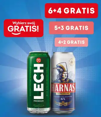Żabka Piwo Lech, Harnas oferta