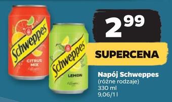 Netto Napój schweppes oferta
