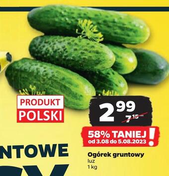 Netto Ogórek gruntowy oferta