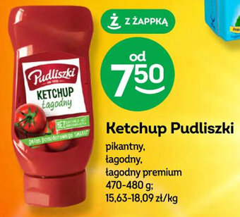 Żabka Ketchup Pudliszki 470-480 g oferta