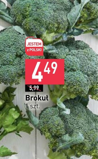 Stokrotka Market Brokuł oferta