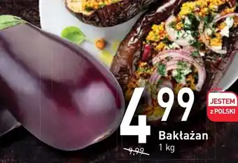 Bakłażan