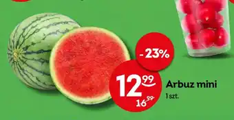 Żabka Arbuz mini 1 szt. oferta