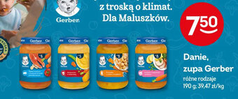 Żabka Danie, zupa Gerber 190 g oferta