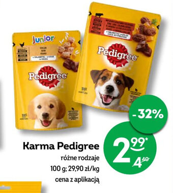 Żabka Karma Pedigree 100g oferta