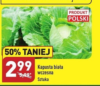 ALDI Kapusta biała wczesna Sztuka oferta