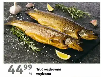 Auchan Troć wędrowna wędzona 1 kg oferta