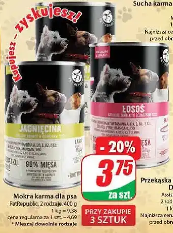 Dino Karma dla kota łosoś oferta