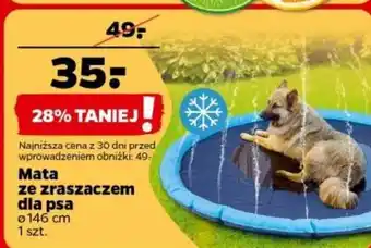 Netto Mata ze zraszaczem dla psa oferta