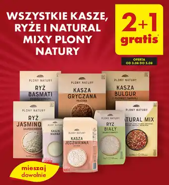 Biedronka WSZYSTKIE KASZE, RYŻE I NATURAL MIXY PLONY NATURY oferta