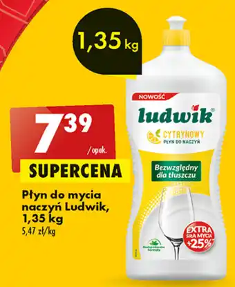 Biedronka Płyn do mycia naczyń Ludwik, 1,35 kg oferta