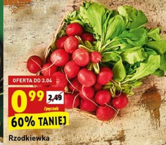 Biedronka Rzodkiewka pęczek oferta