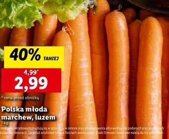 Lidl Marchew oferta