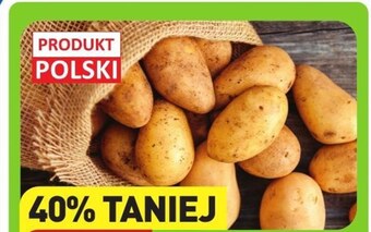 ALDI Ziemniaki oferta