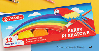 Biedronka Farby plakatowe herlitz oferta