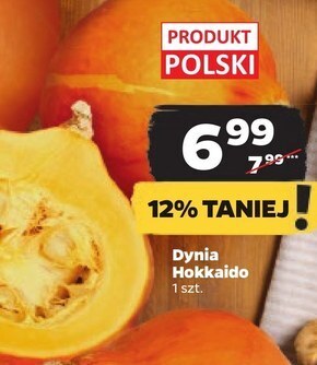 Netto Dynia oferta
