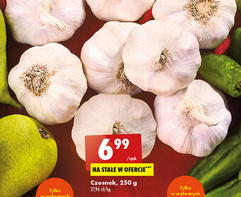 Biedronka Czosnek, 250 g oferta