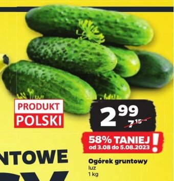 Netto Ogórek gruntowy luz 1 kg oferta