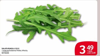 Selgros SAŁATA RUKOLA 125 G oferta