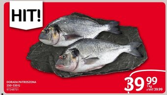 Selgros DORADA PATROSZONA 250-330 G (cena za kg) oferta