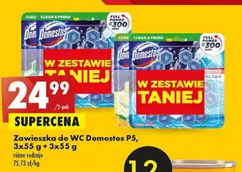 Biedronka Kostka do wc ocean + pine oferta