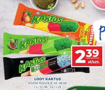 Top Market LODY KAKTUS RÓŻNE RODZAJE, 45-46 ML oferta