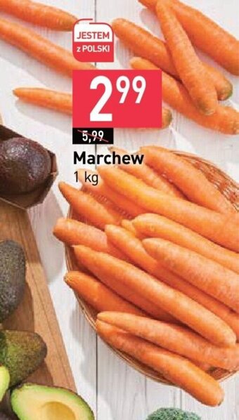 Stokrotka Marchew 1 kg oferta