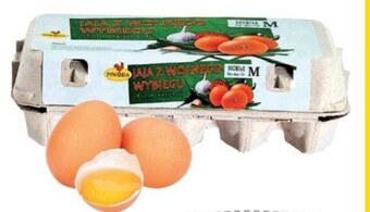 Frac Jajka piwoda oferta