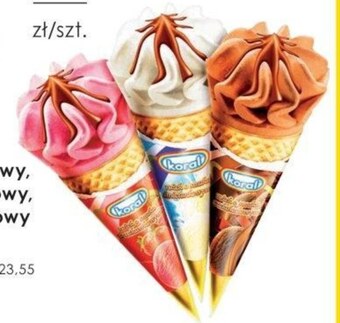 Frac Lody koral oferta