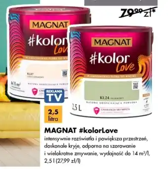 Mrówka Farba magnat oferta