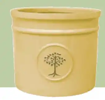 Castorama Donica oferta